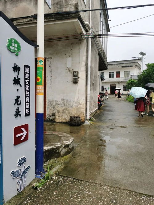 吃柳钢雪条 逛螺蛳粉厂 寻红色足迹 听党史... 云游柳州惊奇 大有看头