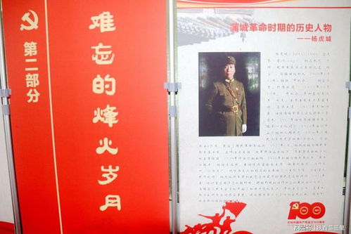 蒲城县社会组织开展党史学习教育助力乡村振兴主题活动