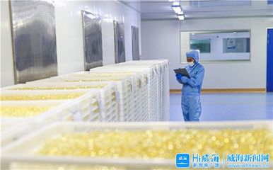 威海党史史志网 威海要闻 打好“特字牌”,威海各区市、开发区护航先进制造业突破发展