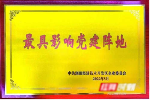 忆党史 铭党恩 强党性 促党建 盐津铺子开展系列党建活动