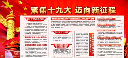 十九大党建党史