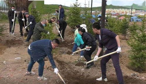 学党史 践初心 植树添绿美家园